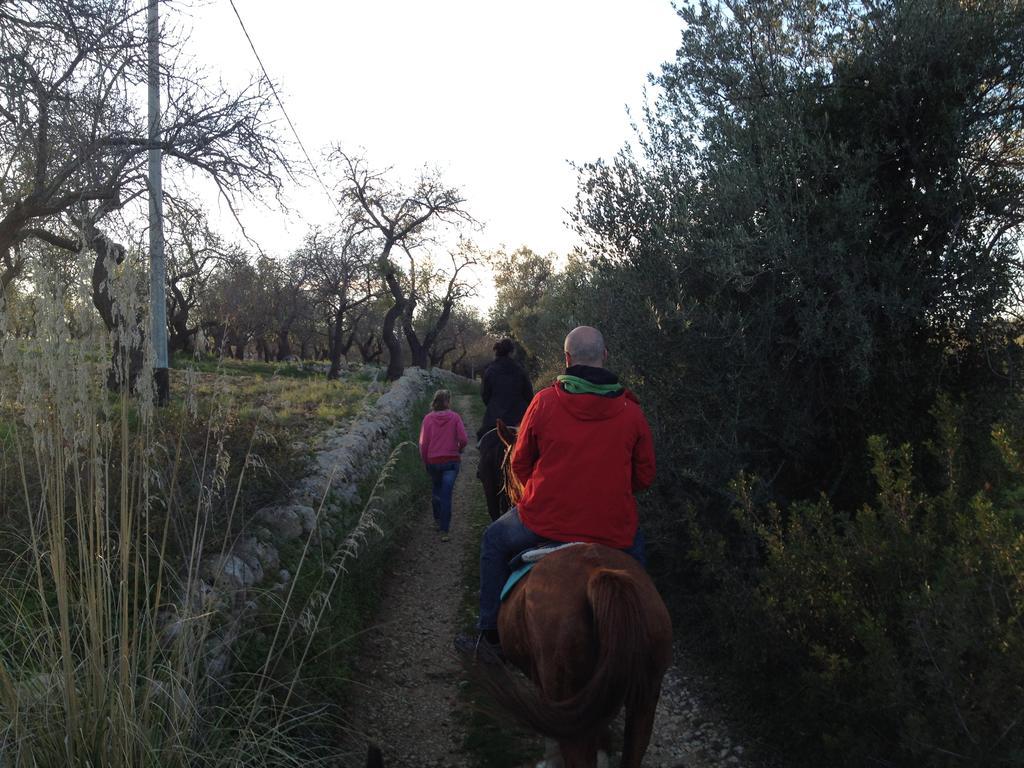 Agriturismo Vita E Natura Villa Noto Luaran gambar