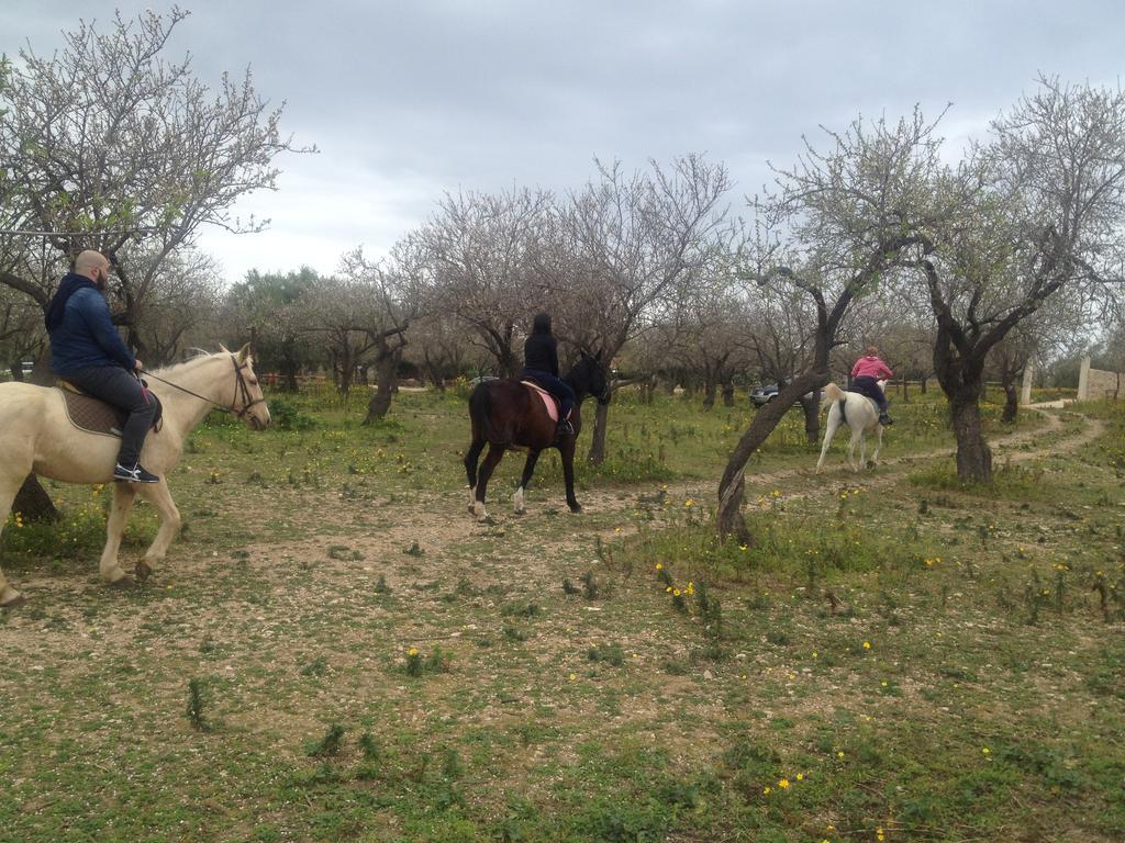 Agriturismo Vita E Natura Villa Noto Luaran gambar